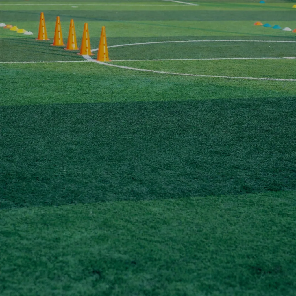 FJD GC01 Grass Collector Kit, Ook voor kunstgras