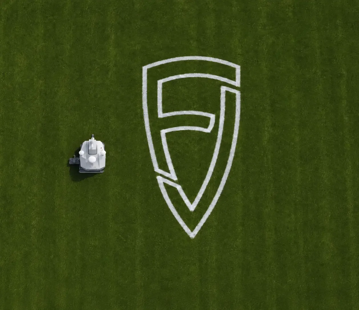 FJD PaintMaster Pro, Logo belijnen